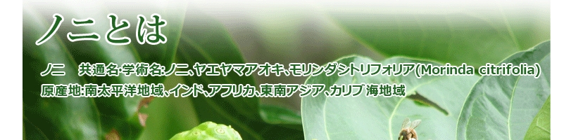 �I�[�K�j�b�N�m�j�W���[�X�w�n���Y�m�j�x���T�C�g